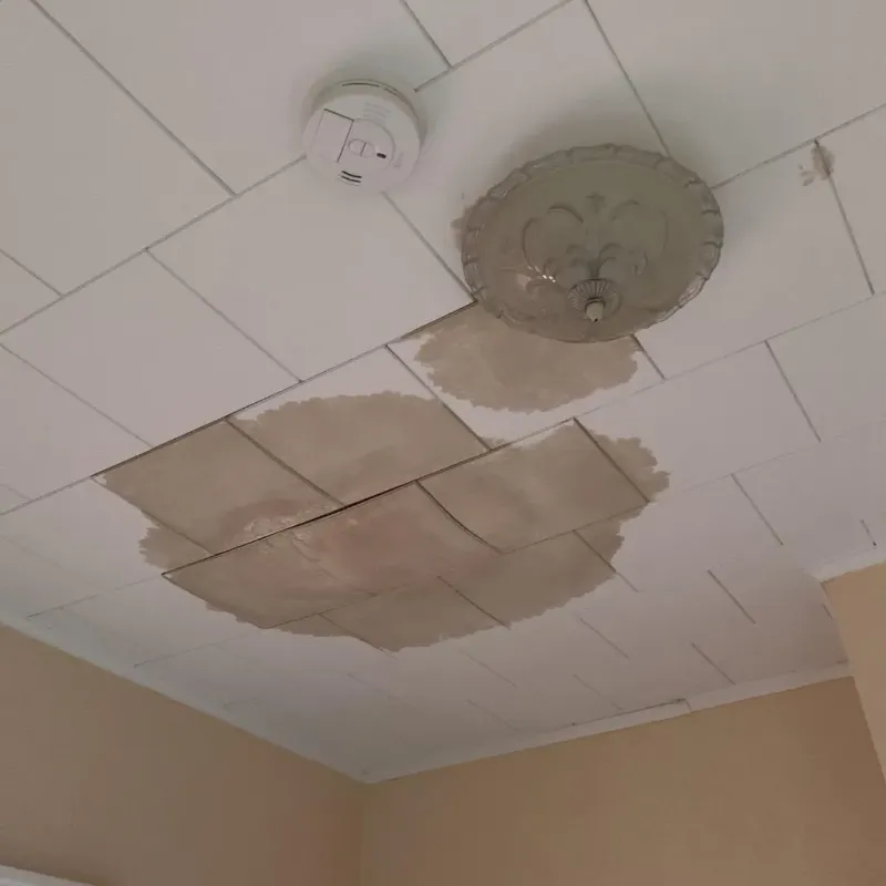 Ceiling Water Damage Repair in Round Lake Park, IL