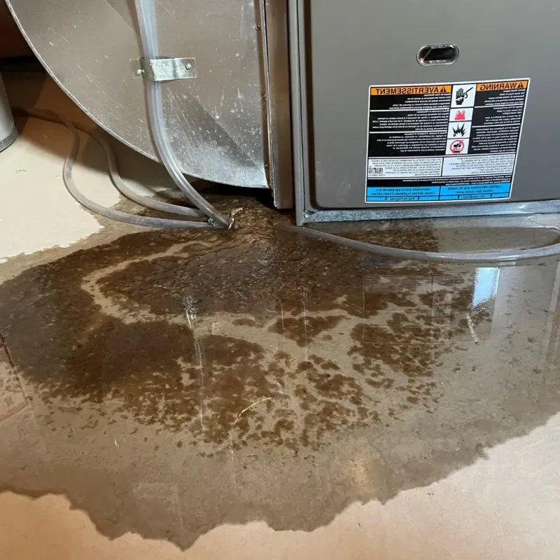 Pipe Burst and Leak Restoration in Round Lake Park, IL